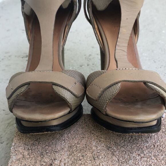 LAMB - Picture 4 of 8